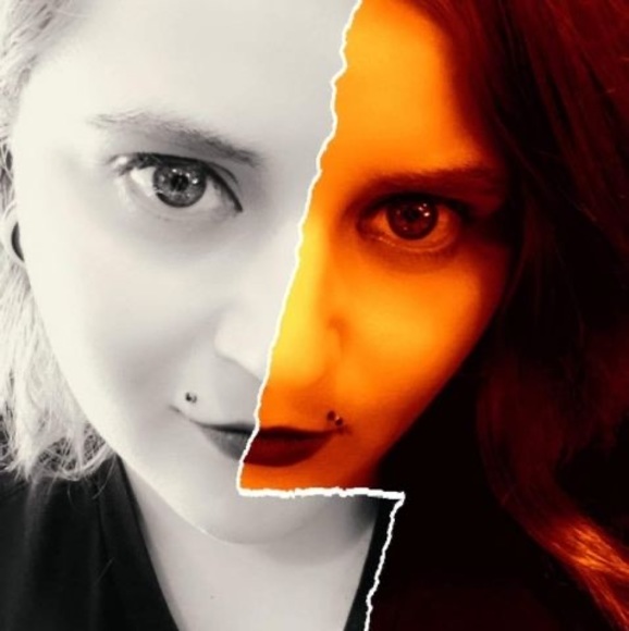 Meet your Posher, Lily - Picture 1 of 1